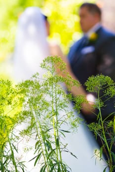 A bride and groom share a sweet moment with some plants in front of them and a shallow depth of field.