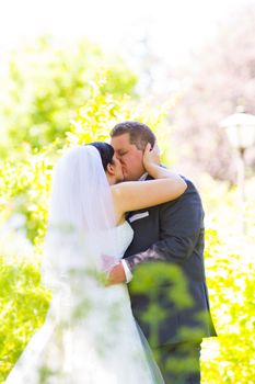 A bride and groom share a sweet moment with some plants in front of them and a shallow depth of field.