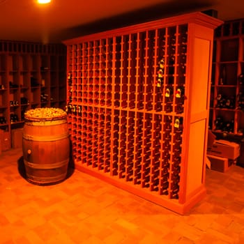 modern wine cellar with wine bottle shelves