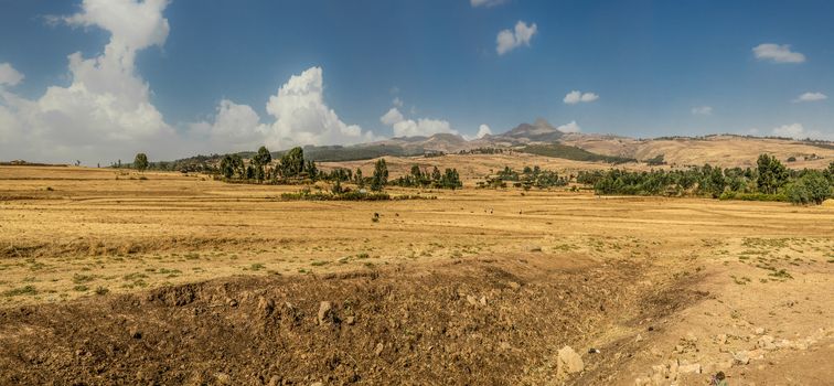 Panoramic view the landscape of the farmlands in Suba area, Ethiopia