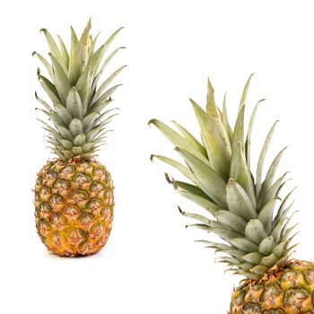 Frame consisting of two pineapples. White background.
