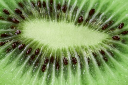 kiwi fruit as background. macro. close up.