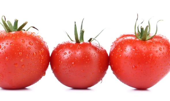 Three red ripe tomatoes isolated on a white background