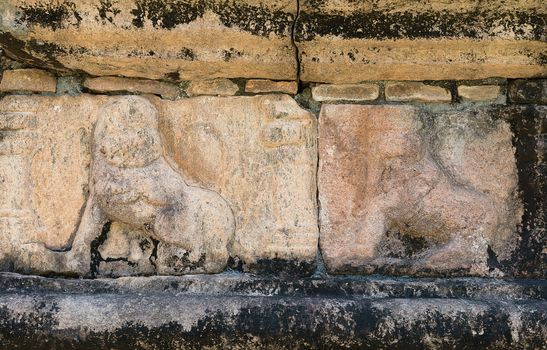 Ancient stone carving with lions on the ruins of the ancient kingdom capital in Polonnaruwa, Sri Lanka 
