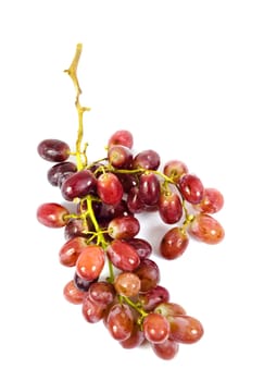  branch of red grape over  white background.