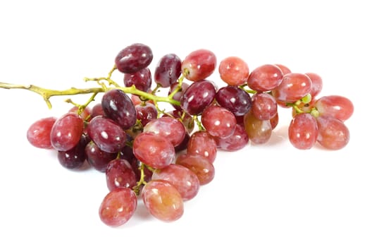 close up grape fruits on white background