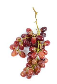 top view  branch of red grape over white background.