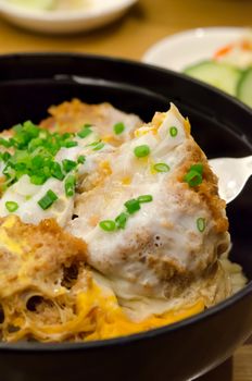 close up  pork cutlet and egg on rice , Katsudon , japanese meal