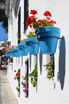 Flowers in a flower pot on the wall
