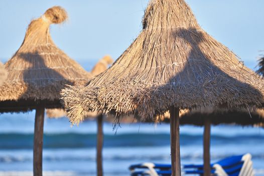 Row of straw parasols on a tropical beach