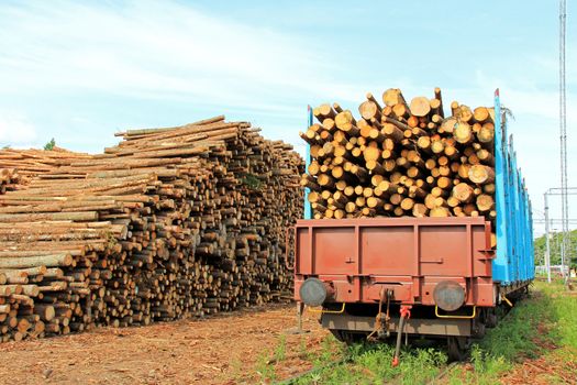 Storage of wood at railway station and rail cars full of wood ready for transport.