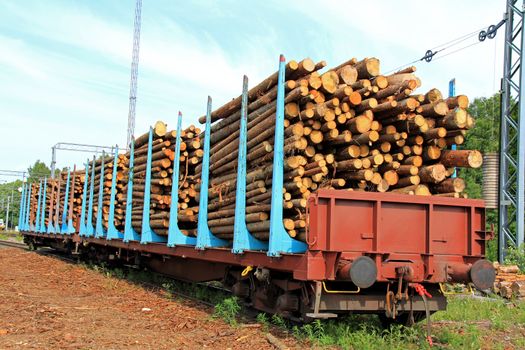 Wooden logs in rail cars at a railway station waiting for transport.