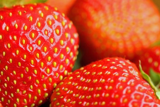 Macro view of red strawberries, shallow depth of field.