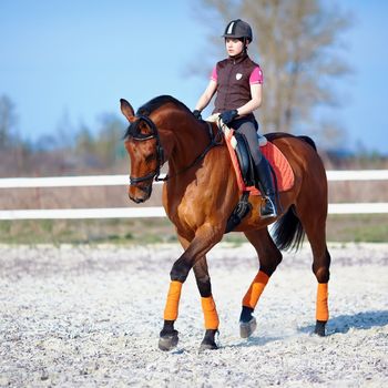 The horsewoman on a red horse