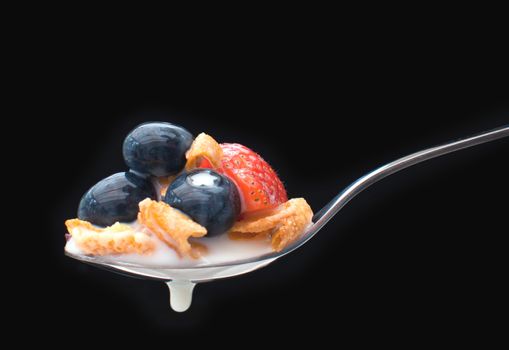 Breakfast cereal spoon with milk and berries  
