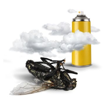 Spray bottle insecticide clouds and dead fly on white background isolated