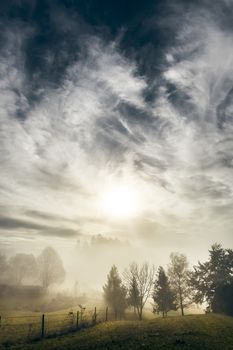 An image of a nice autumn landscape