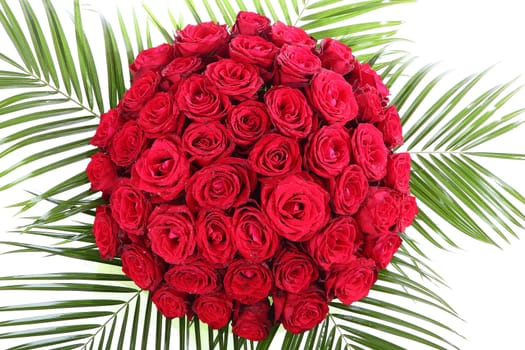 A large bouquet of red roses. The isolated image on a white background.