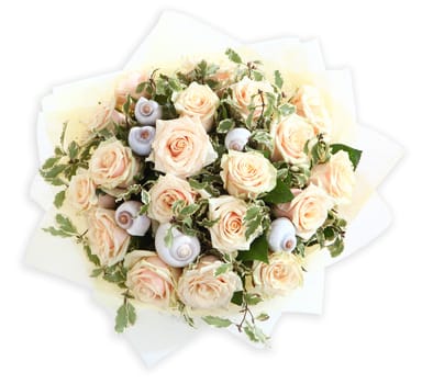 Floristic composition with pink roses and seashells. The isolated image on a white background. Cream roses and shell.