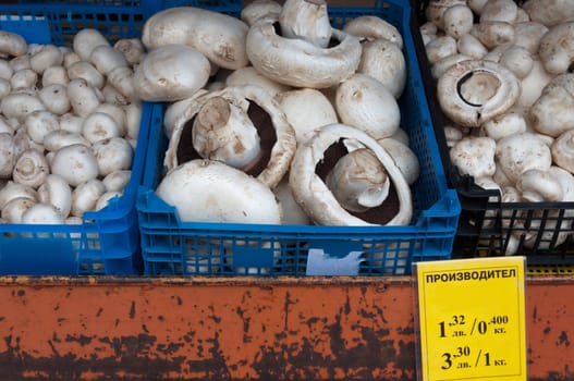 Edible mushrooms in a box on the market with price tag.