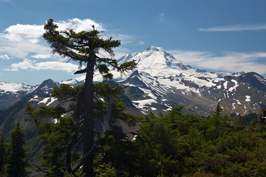Mountain Landscape, Mt. Baker, Washington, USA