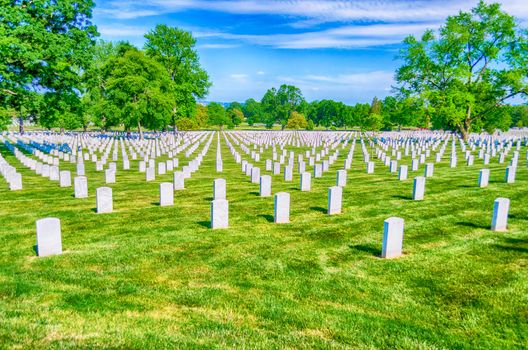Arlington National Cemetery, rows of white grave stones