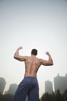 Muscular Man's Back