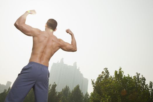 Muscular Man's Back
