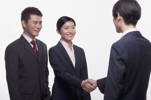 Businesspeople Meeting and Shaking Hands