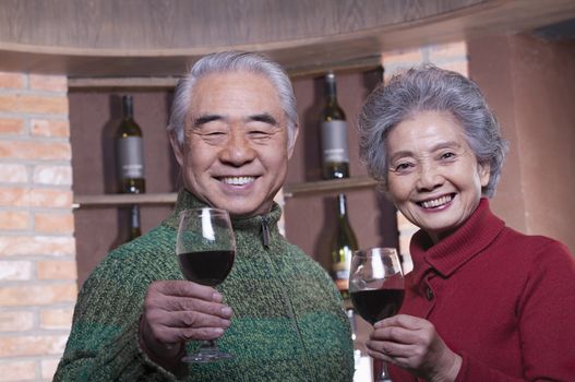 Senior Couple Enjoying Wine