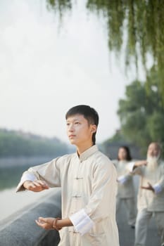 Chinese Practicing Tai Ji