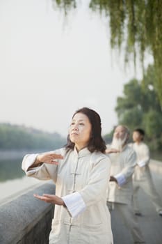 Chinese Practicing Tai Ji