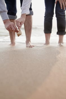 Young couple looking at seashells on the beach, close up on legs and hands