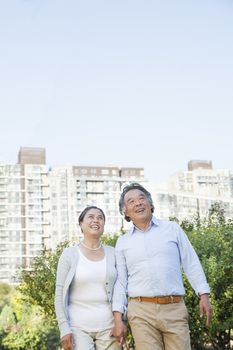 Mature couple walking in the park 