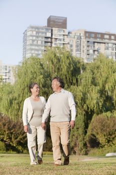Mature couple walking in the park 