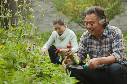 Senior couple in garden