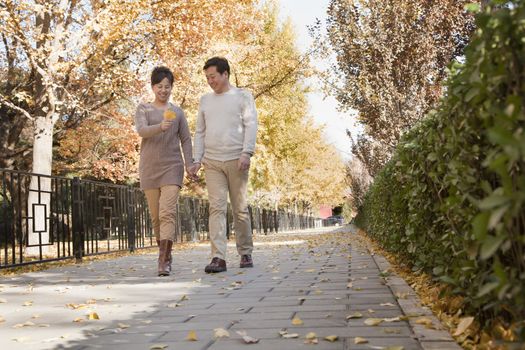 Mature Couple Talking a Walk in the Park