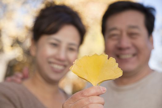 Mature Couple Looking at the Leaf in the Park