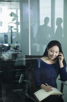Businesswoman on the phone in office