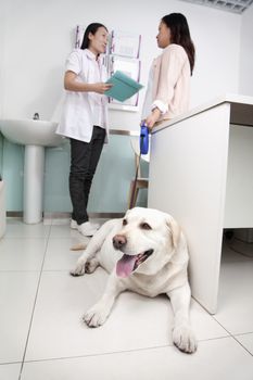 Woman with pet dog in veterinarian's office