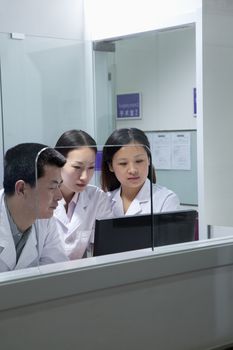 Veterinarians looking at computer screen