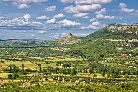 Green landscape of Bribir area valley in Dalmatia, Croatia