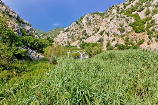Krupa river canyon green nature and waterfall, Dalmatia, Croatia