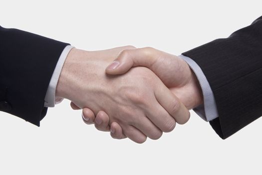 Two Businessmen Shaking Hands