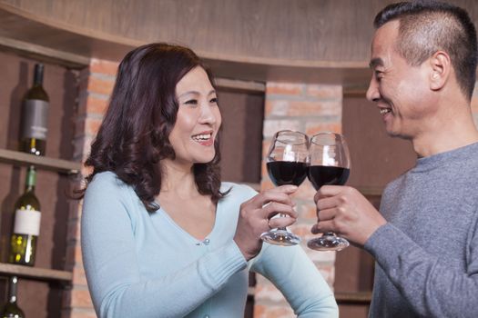 Mature Couple at a Winetasting, Toasting 