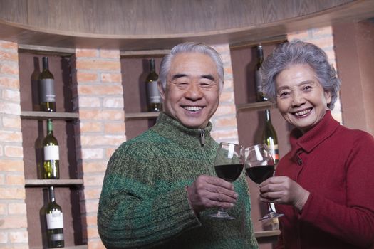 Senior Couple Toasting with Wine Glass