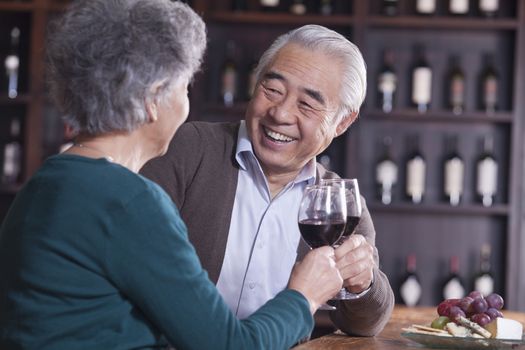 Senior Couple Toasting and Enjoying Themselves Drinking Wine, Focus on Male