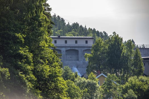 Five sea (in Norwegian Femsj��en) is a lake located in the municipality of Halden, Norway. My son and I were on a photo safari, hoping to get pictures of Osprey that breed in a tree on a small island in Five sea