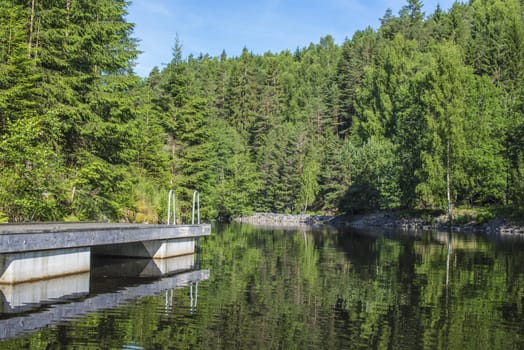 Five sea (in Norwegian Femsj��en) is a lake located in the municipality of Halden, Norway. My son and I were on a photo safari, hoping to get pictures of Osprey that breed in a tree on a small island in Five sea