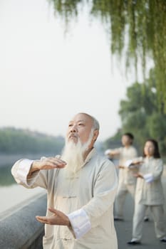 Chinese Practicing Tai Ji